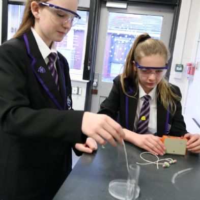 tsa_Year8Science (9)